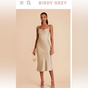Burst Grey Lisa Midi Dress Champagne Neutral Size Medium